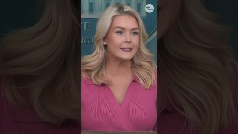 White House says Nancy Guthrie disappearance is ‘heartbreaking situation’