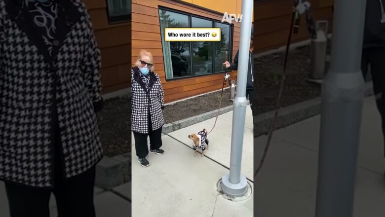 Who wore it best? 😂