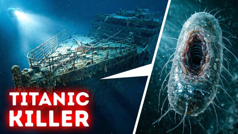 Why the Titanic Is Falling Apart But This Ancient Ship Isn’t