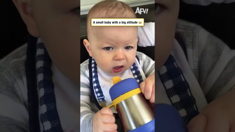 A small baby with a big attitude 😂