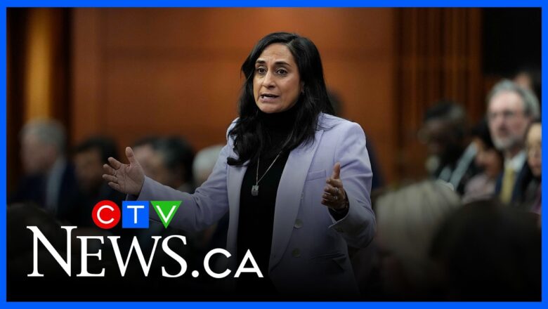 Anand calls for ceasefire in Iran to protect civilians, secure Strait of Hormuz
