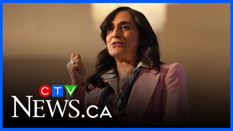 Anand’s outline of new defence strategy surrounds NATO commitments