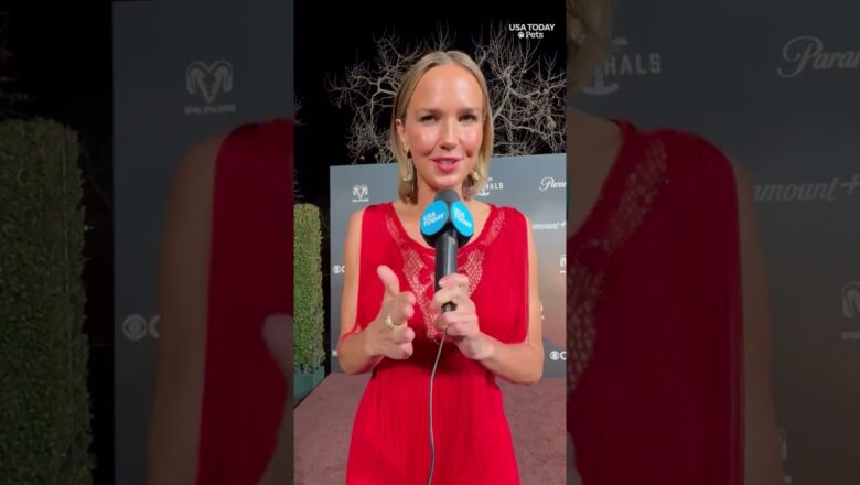 Arielle Kebbel wants to make her dog a star