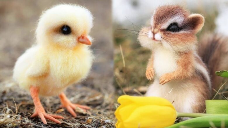 AWW Animals SOO Cute! Cute baby animals Videos Compilation cute moment of the animals #4 2026