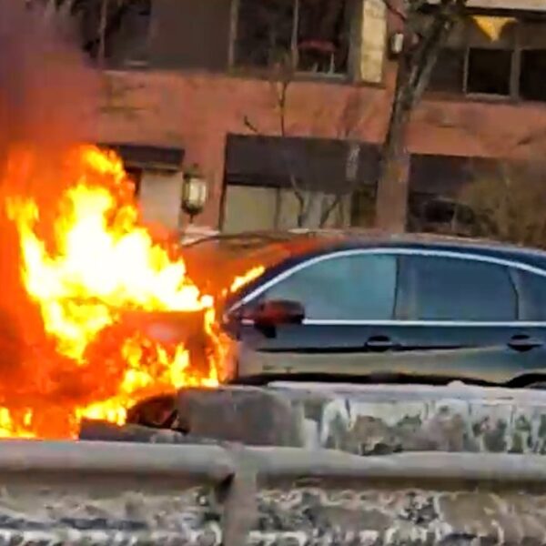 Best Fails of the Week 😂 These Were Terrible Ideas