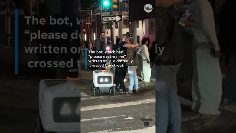 Delivery robot had a tough time in Philadelphia. See what happened.