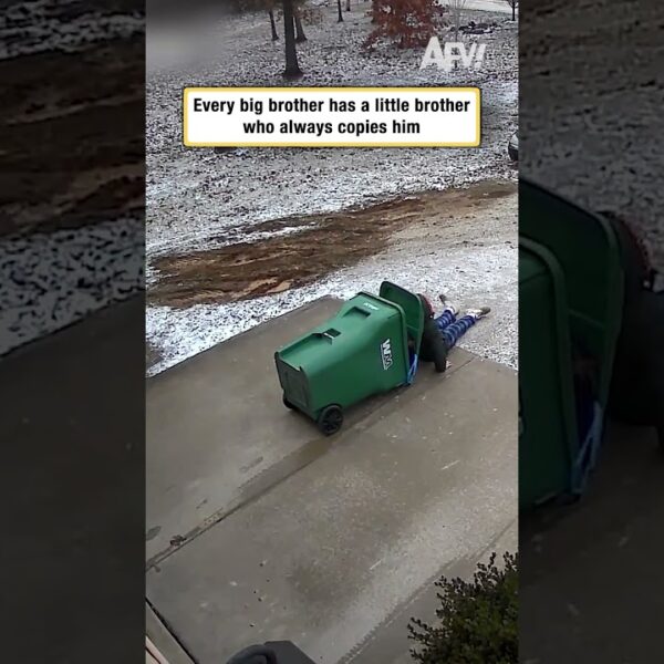 Every big brother has a little brother who always copies him