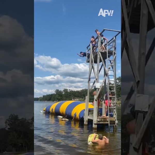 I always thought Blobs looked fun… until now