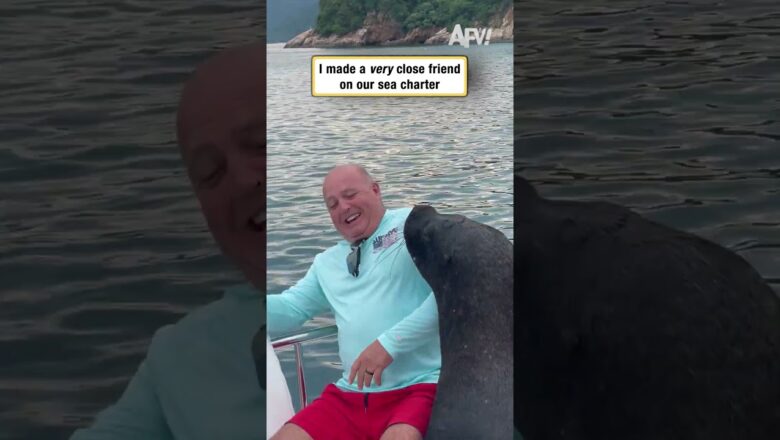 I made a very close friend on our sea charter