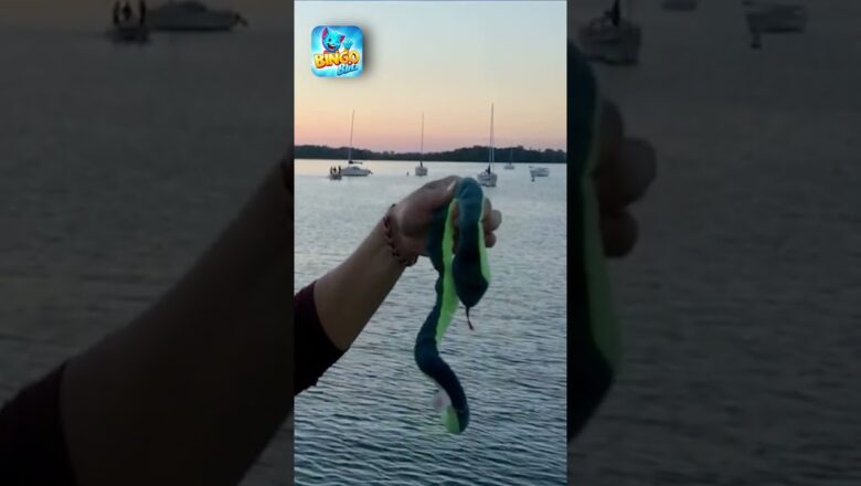 Is winning an $1,000 prize on your Bingo Card? 🎉💰