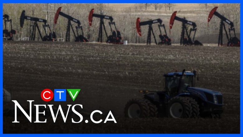 ‘It is very concerning’: Canadian farmers feeling the impact of Middle East conflict