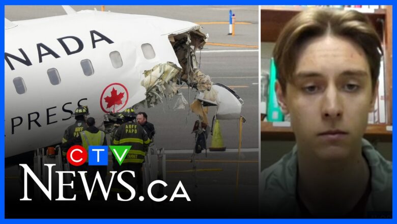 ‘It was chaos and panic’ | Air Canada crash survivor recounts moment of impact