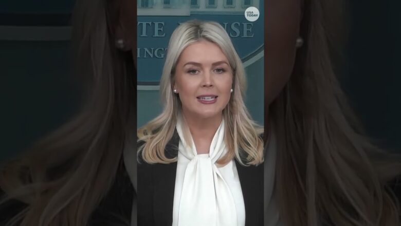 Leavitt clashes with CNN reporter over Iran war coverage