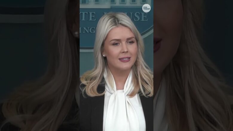 No plans for US ground troops in Iran at this time, says White House