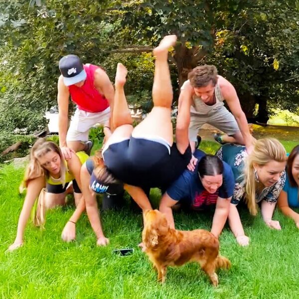 ONE FAIL AFTER ANOTHER 🤣 Ultimate Fails Compilation