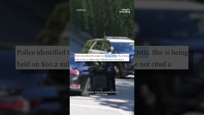 Rihanna TARGETED in Alleged AR-15 Style Drive-By