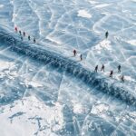 Scientists Woke Up a 24,000-Year-Old Frozen Animal