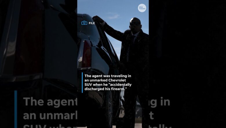 Secret Service agent accidentally shoots himself while escorting Jill Biden