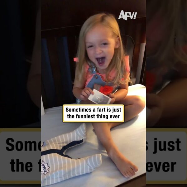 Sometimes a fart is just the funniest thing ever