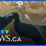 Strait of Hormuz re-opening ‘critical’ for lower oil and gas prices: business analyst