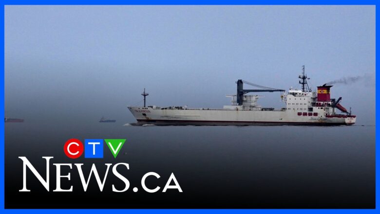 ‘The stability of the global economy’ is at stake if the Strait of Hormuz doesn’t open: analyst