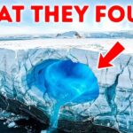 This Antarctic Find Changes What We Knew About Life on Earth