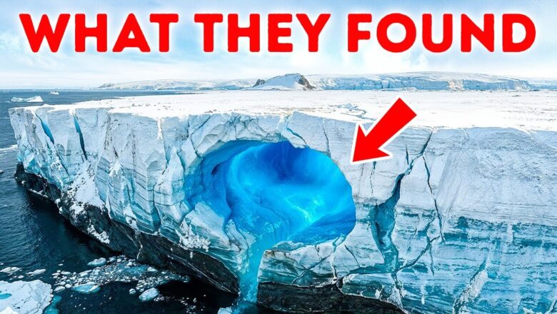 This Antarctic Find Changes What We Knew About Life on Earth