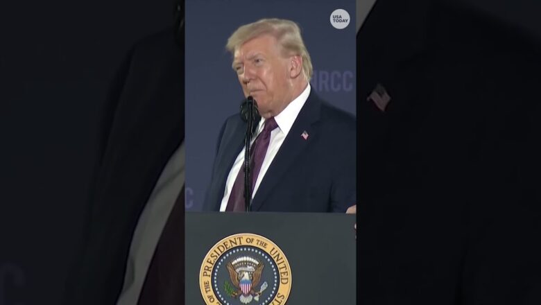 Trump says he may send National Guard to airports after ICE deployment