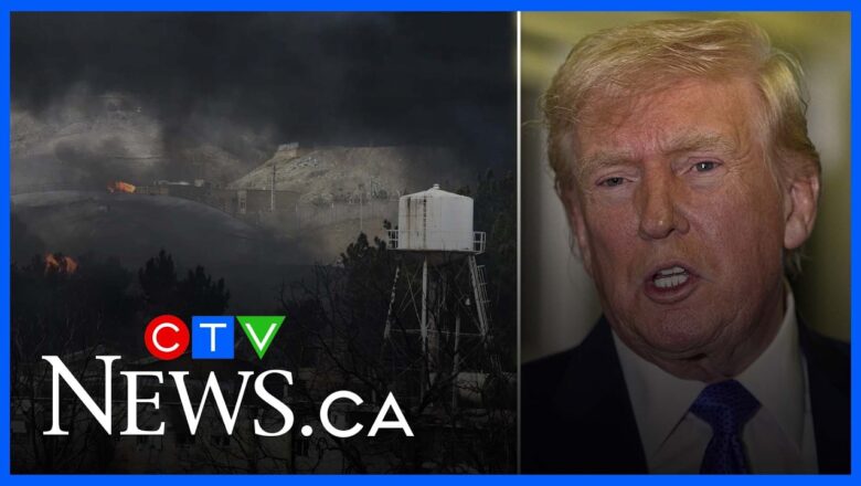 Trump’s motives for Iran-U.S. war are ‘very much about oil’: military expert