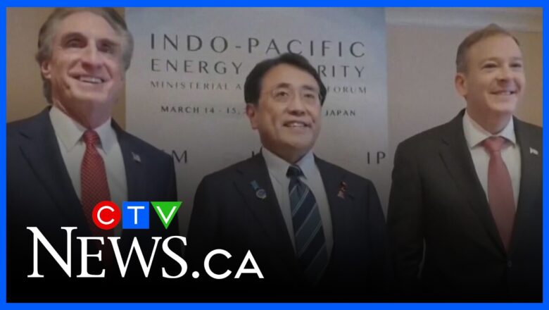 U.S. and Japan sign energy deals amid global market instability