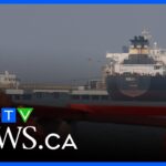 Unclear where U.S. allies stand on Trump sending warships to Strait of Hormuz: Ham