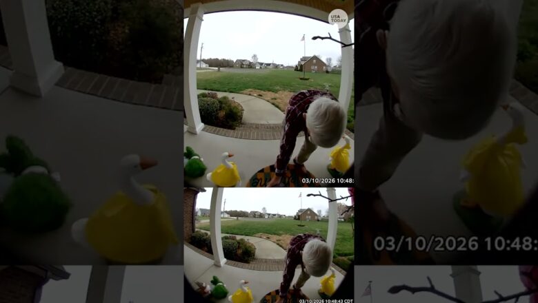 Viral doorbell camera video helps raise thousands for delivery driver