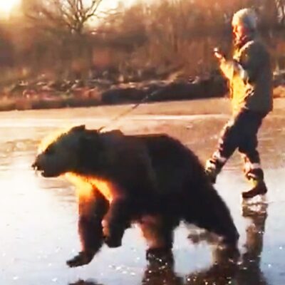 Viral Russian Fails That Went Way Too Far 😳