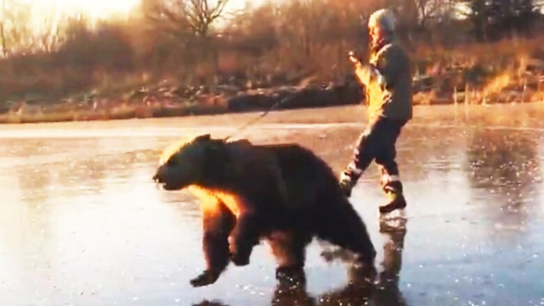 Viral Russian Fails That Went Way Too Far 😳