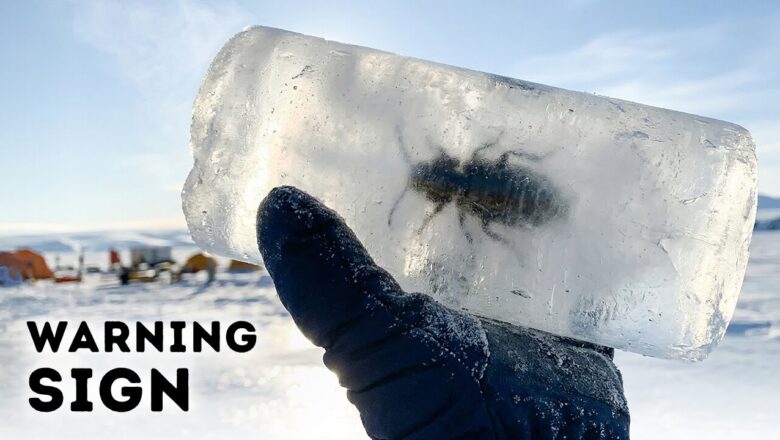 Antarctica’s Ice May Collapse Again – Scientists Just Found Proof