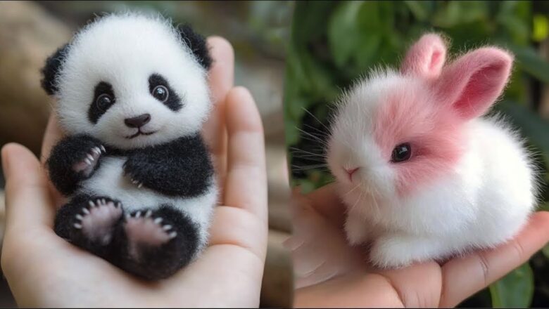 AWW! Cutest Baby Animals Ever 🐶🐱 | Funny & Cute Moments Compilation #1