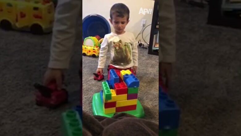 Baby immediately proved his mom wrong