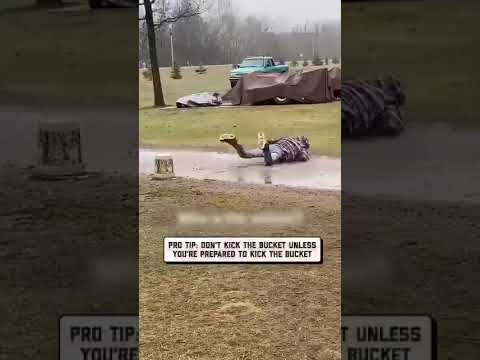 Bucket Prank