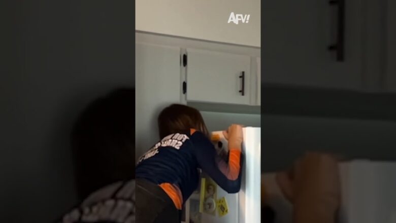 Got too caught up in saving the cat!
