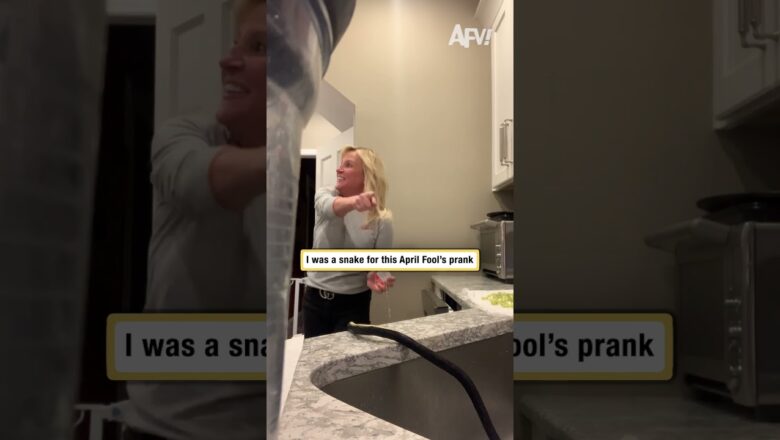 OH MY GOODNESS This Snake Prank Went Crazy 😱 #pranks #fails