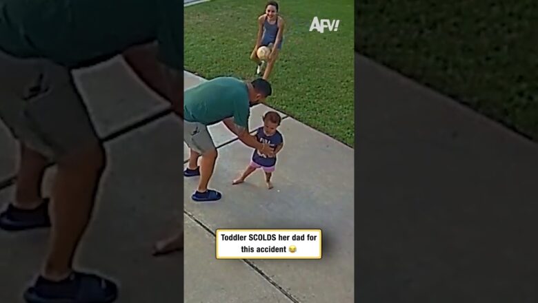 Toddler SCOLDS her dad for this accident 😂