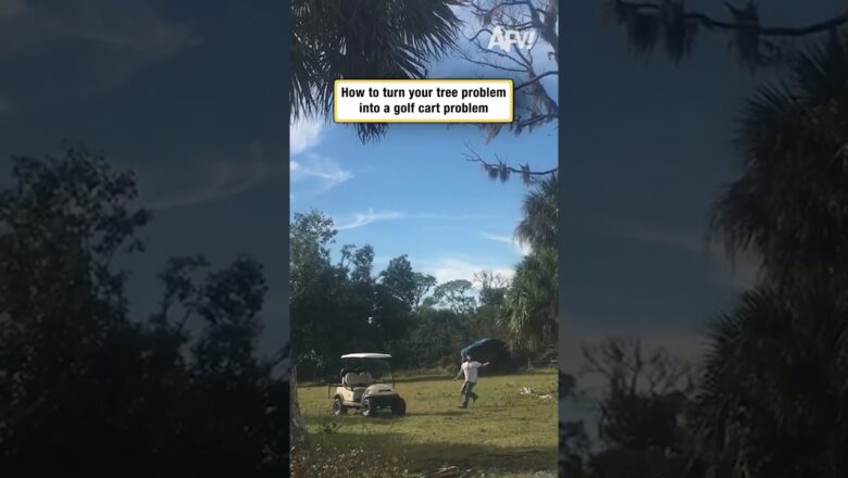 How to turn your tree problem into a golf cart problem