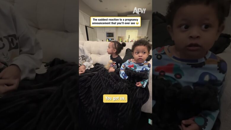 The saddest reaction to a pregnancy announcement that you’ll ever see 😂