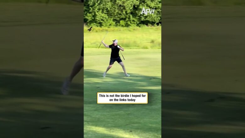 This is not the birdie I hoped for on the links today