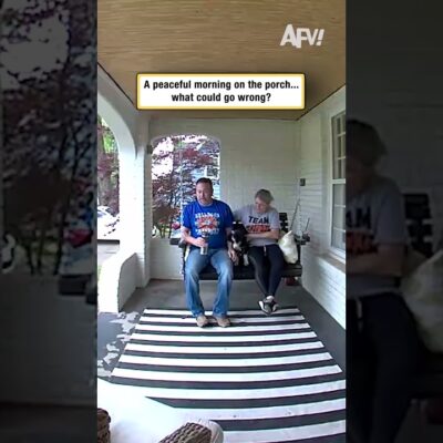 A peaceful morning on the porch… what could go wrong?