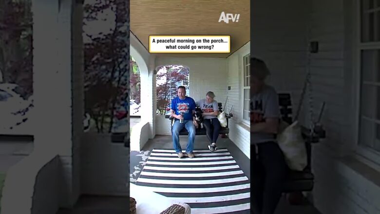 A peaceful morning on the porch… what could go wrong?