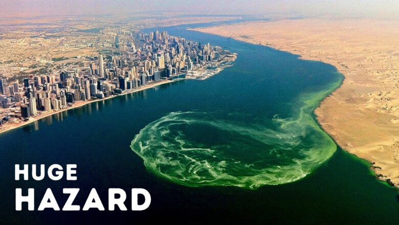 California’s Most Mysterious Lake Has a Massive Catch