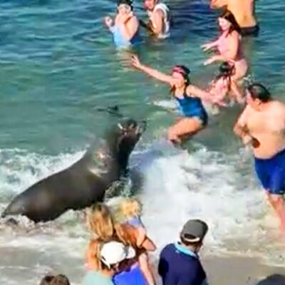 Damn Nature You Crazy | Fails in the Wild!