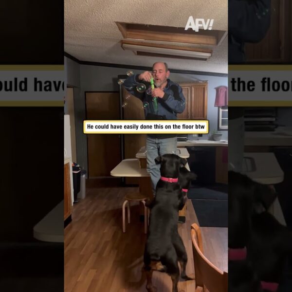He could have easily done this on the floor btw