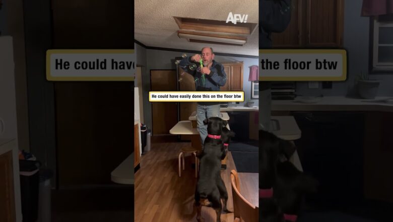 He could have easily done this on the floor btw